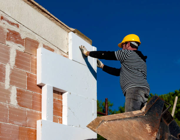 Best DIY Insulation Kits and Guidance in Worthington, KY