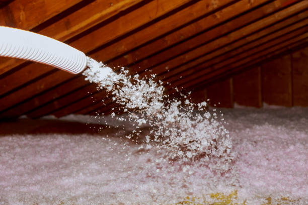 Best Energy Efficiency Insulation in Worthington, KY