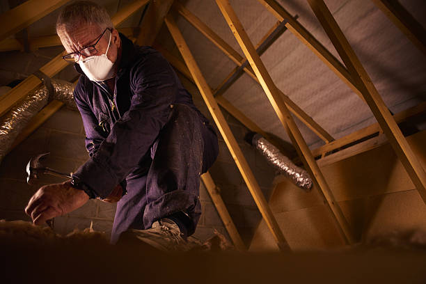 Trusted Worthington, KY Insulation Contractor Experts