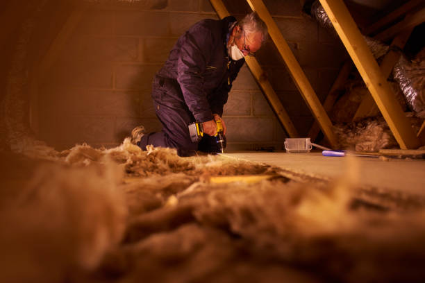 Best Cellulose Insulation in Worthington, KY